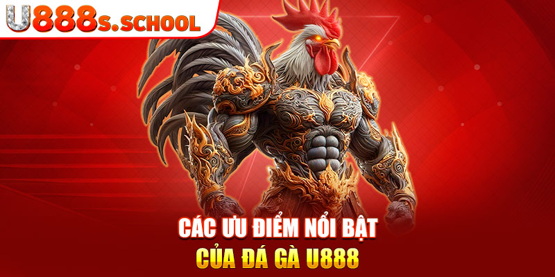 Các ưu điểm nổi bật của đá gà U888