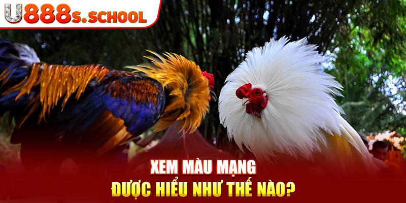 Xem màu mạng được hiểu như thế nào?