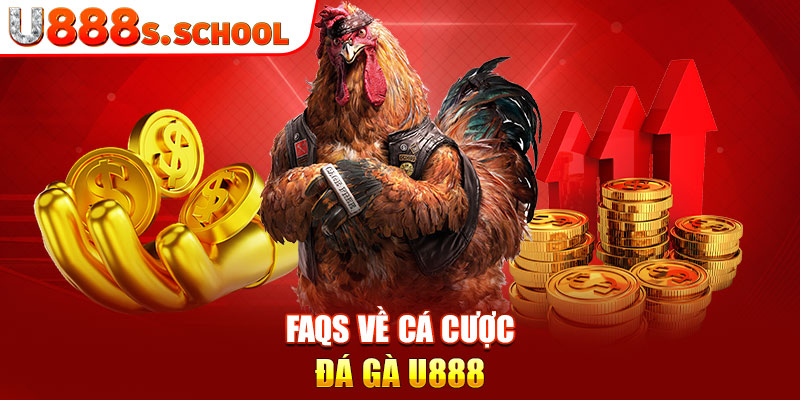 FAQs về cá cược đá gà U888