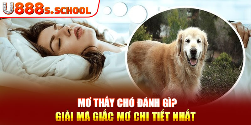 Mơ Thấy Chó Đánh Gì? Giải Mã Giấc Mơ Chi Tiết Nhất