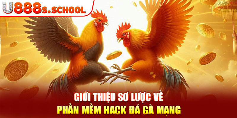 Giới thiệu sơ lược về phần mềm hack đá gà mạng