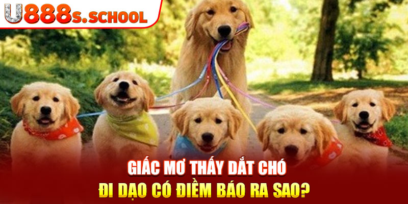 Giấc mơ thấy dắt chó đi dạo có điềm báo ra sao?