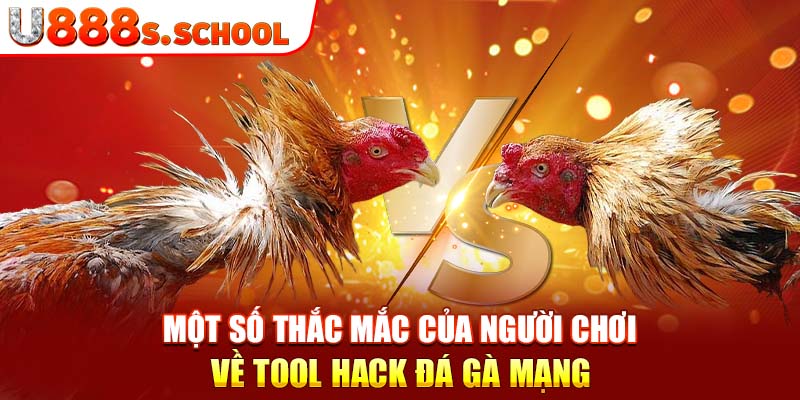 Một số thắc mắc của người chơi về tool hack đá gà mạng